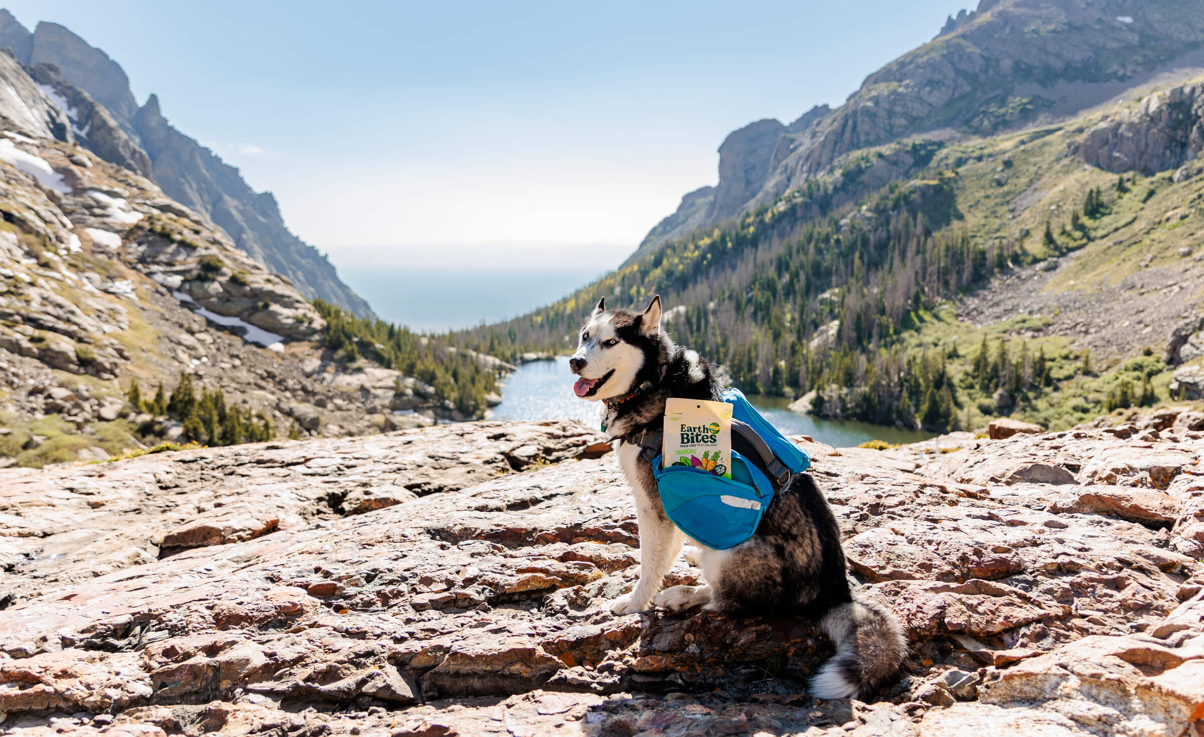 The 16 Best Hiking Gifts For Adventure Dogs - The Mandagies