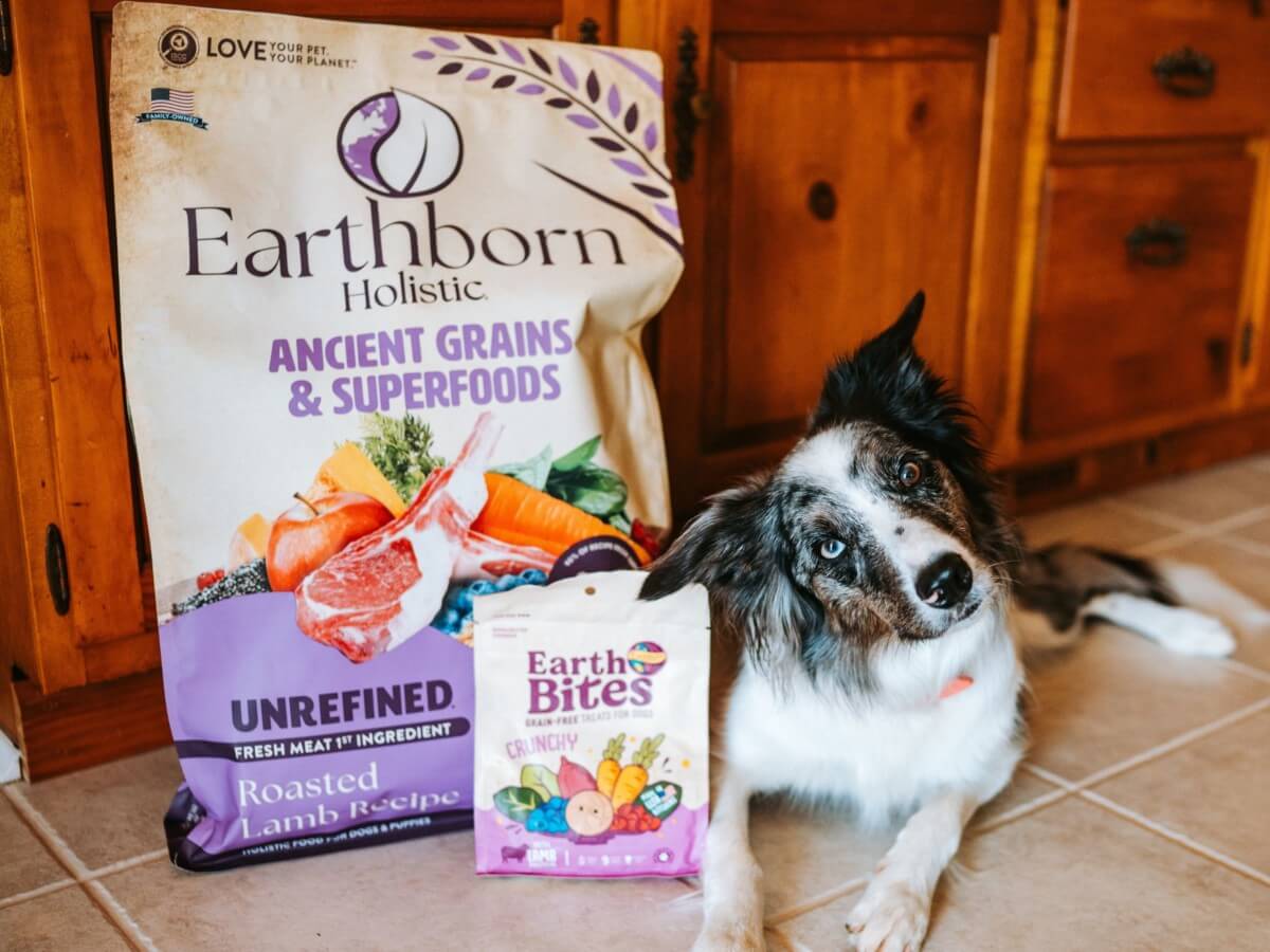 Unrefined Roasted Lamb Earthborn Holistic Pet Food