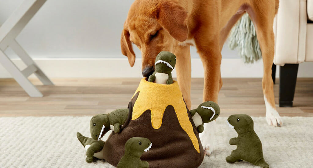 FRISCO Volcano & Dinosaurs Hide & Seek Puzzle Plush Squeaky Dog