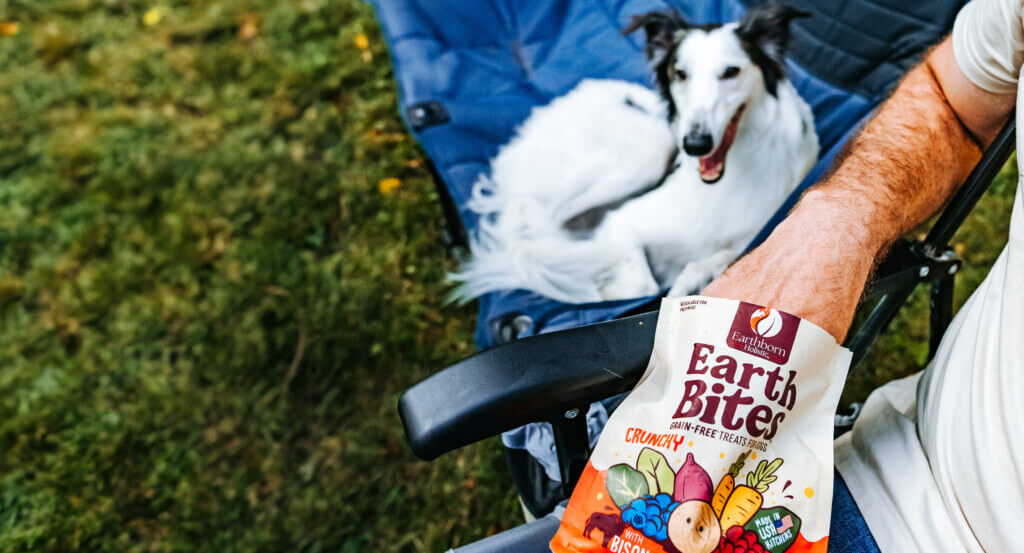 How many treats to give a puppy per day best sale