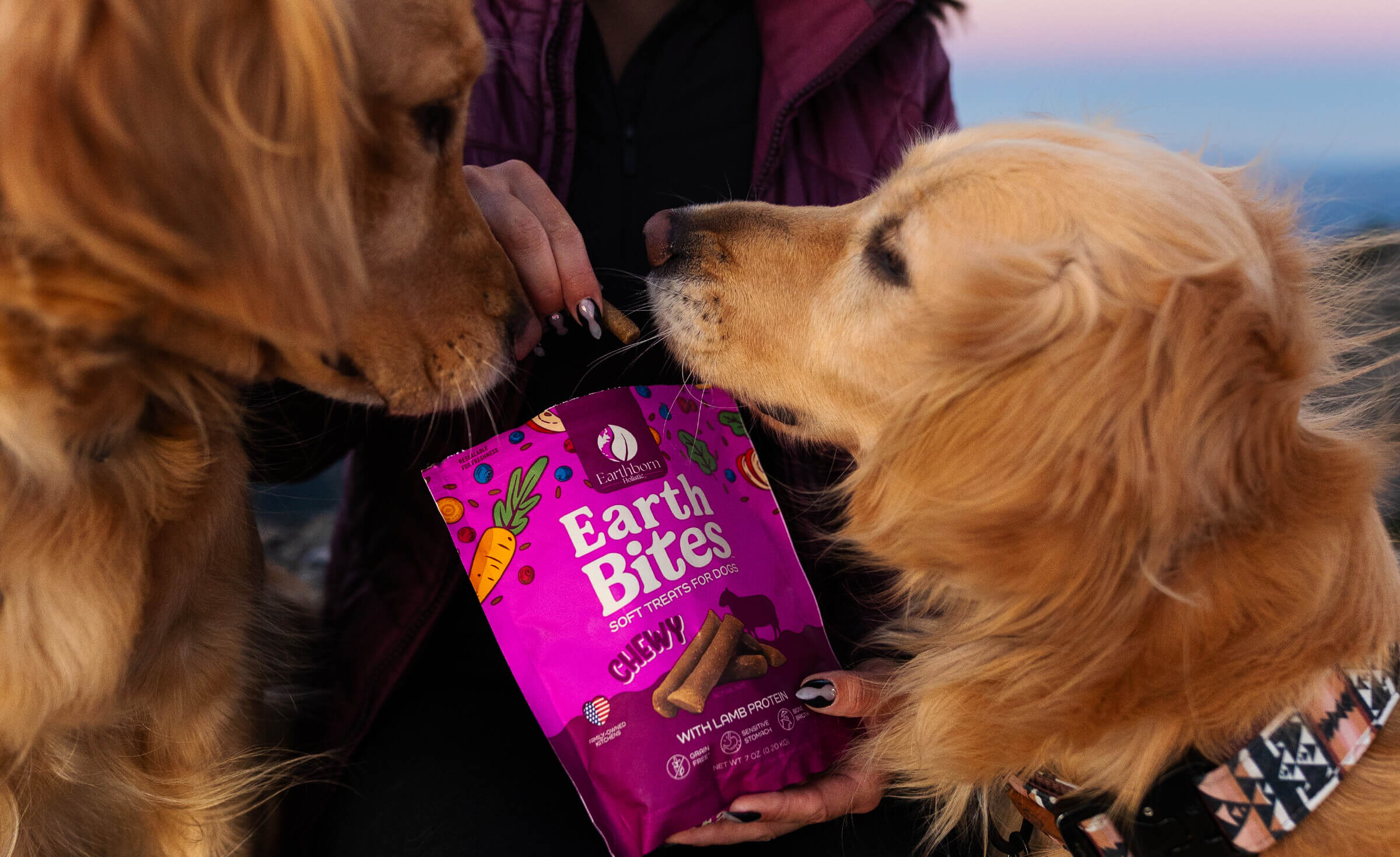 Low Calorie Dog Treats to Help with Weight Loss Earthborn Holistic Pet Food