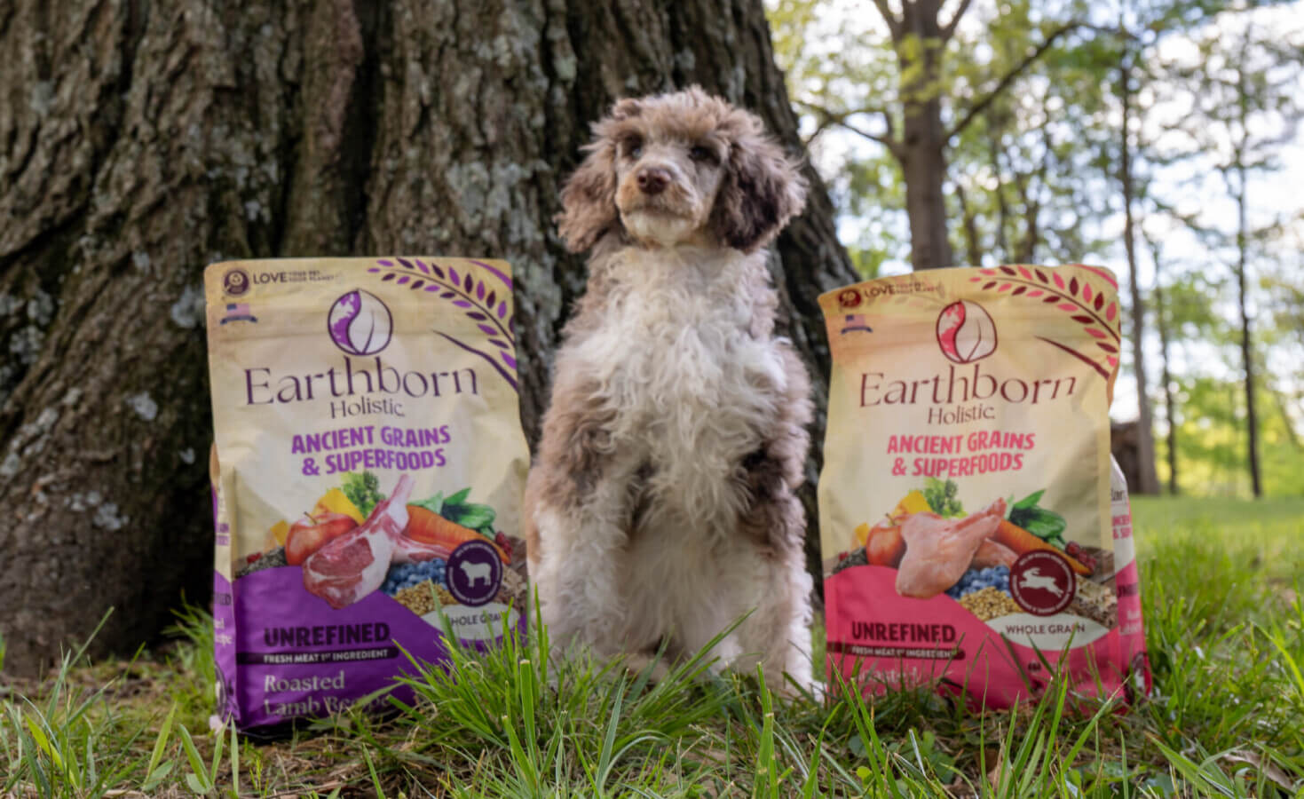 How Much Should I Feed My Puppy Earthborn Holistic Pet Food