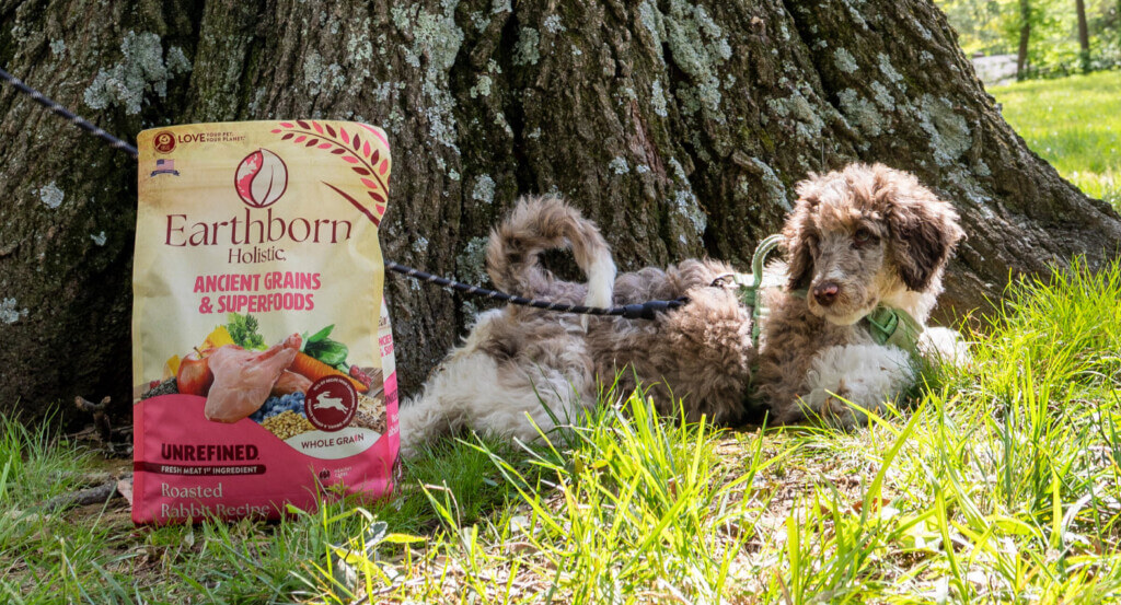 How Much Should I Feed My Puppy Earthborn Holistic Pet Food