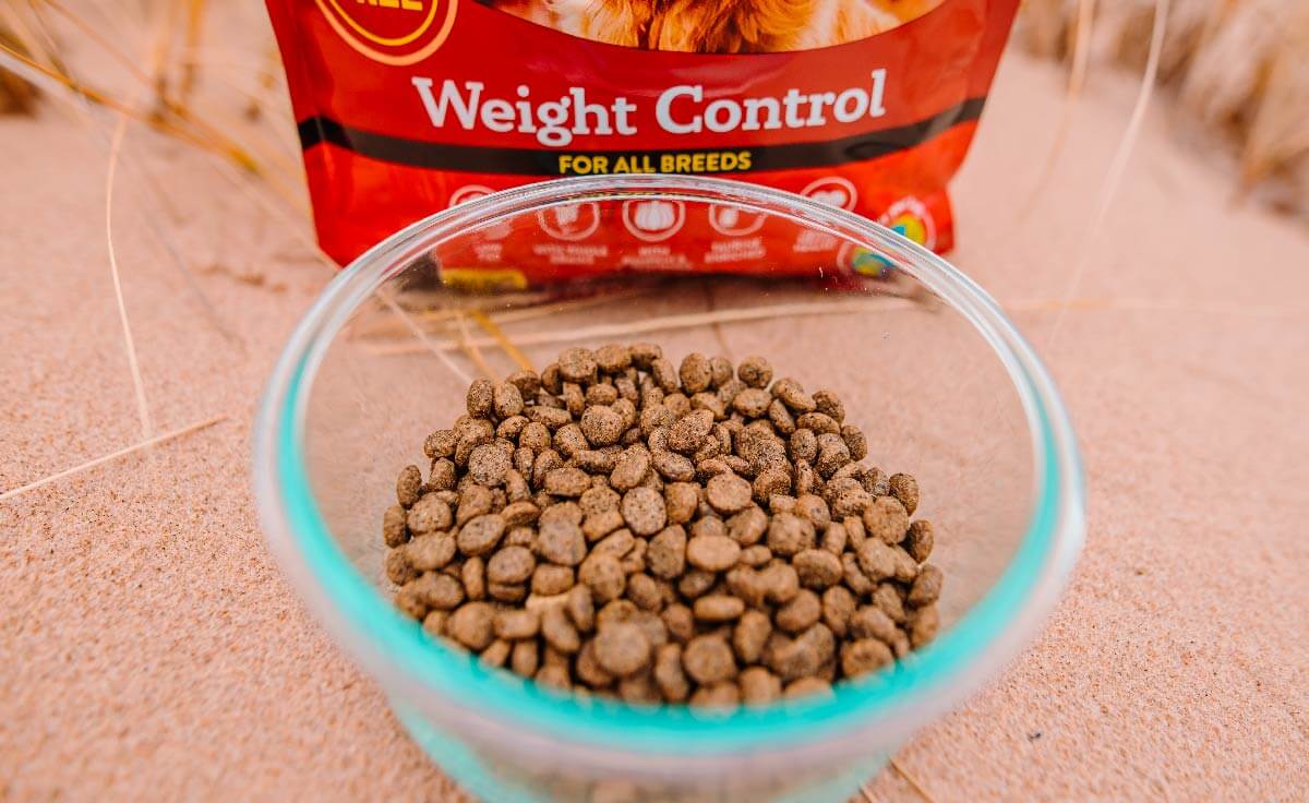 Weight gaining best sale dog food