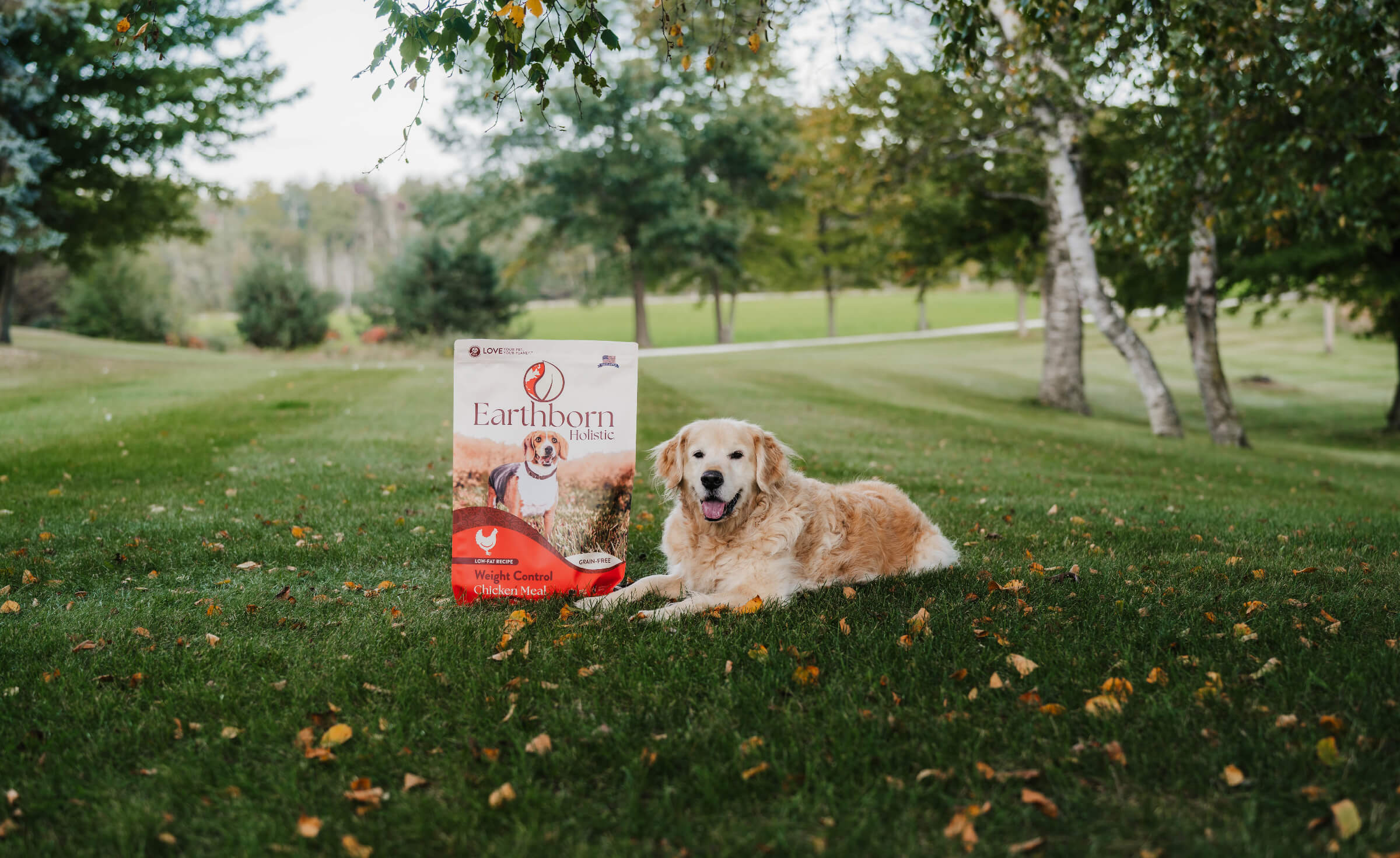 Dog ate outlet probiotic