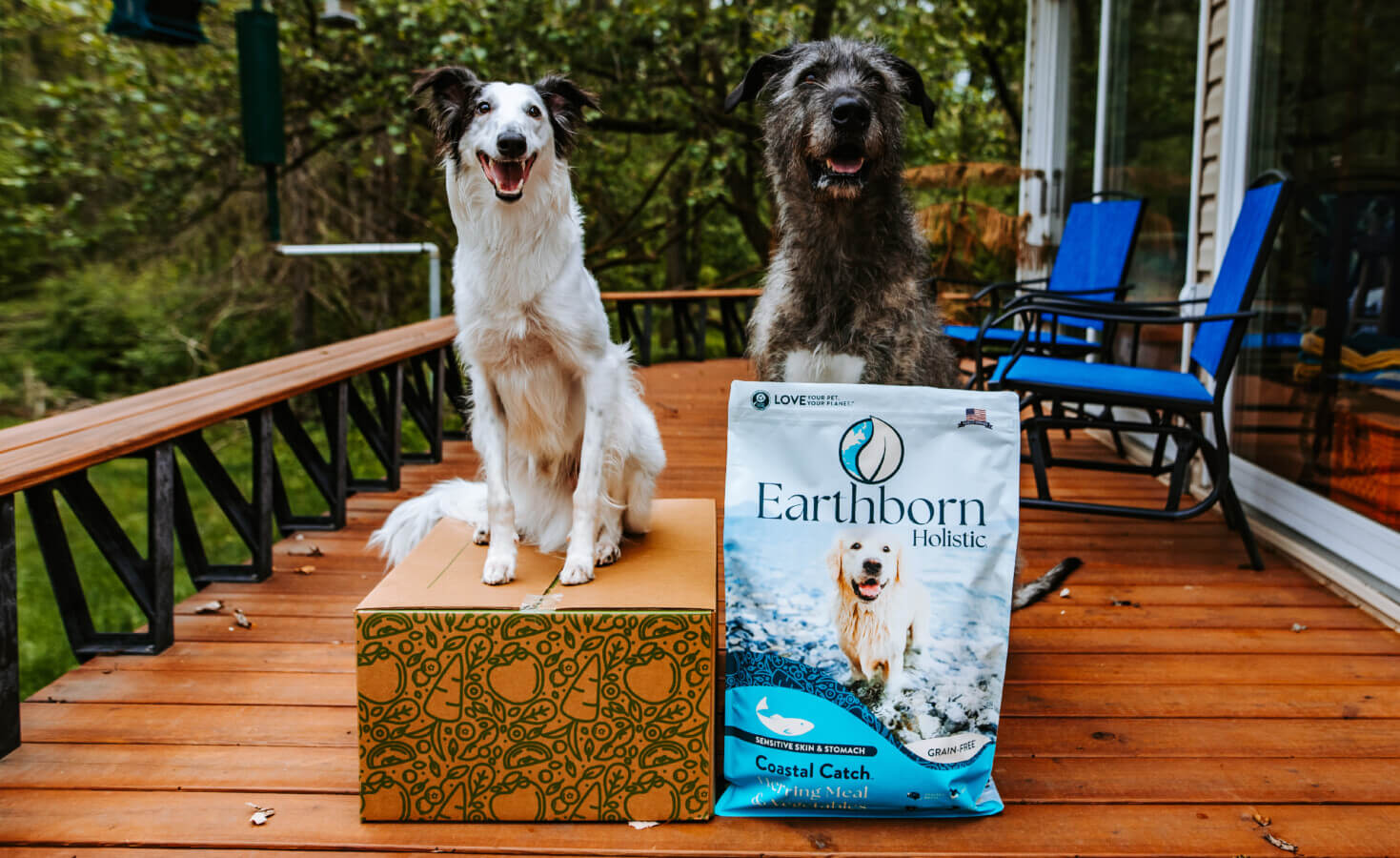 A Guide to the Best Large Breed Dog Food Earthborn Holistic Pet Food