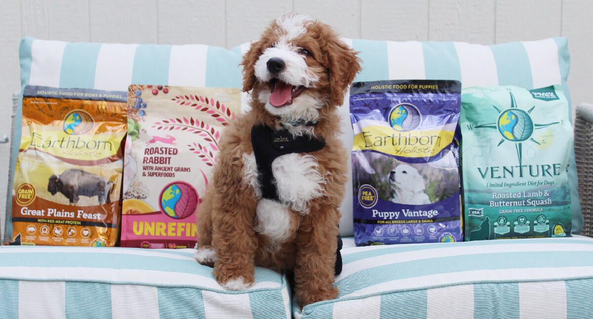 Top Tips for Transitioning Food for Puppies Easily | Earthborn Holistic