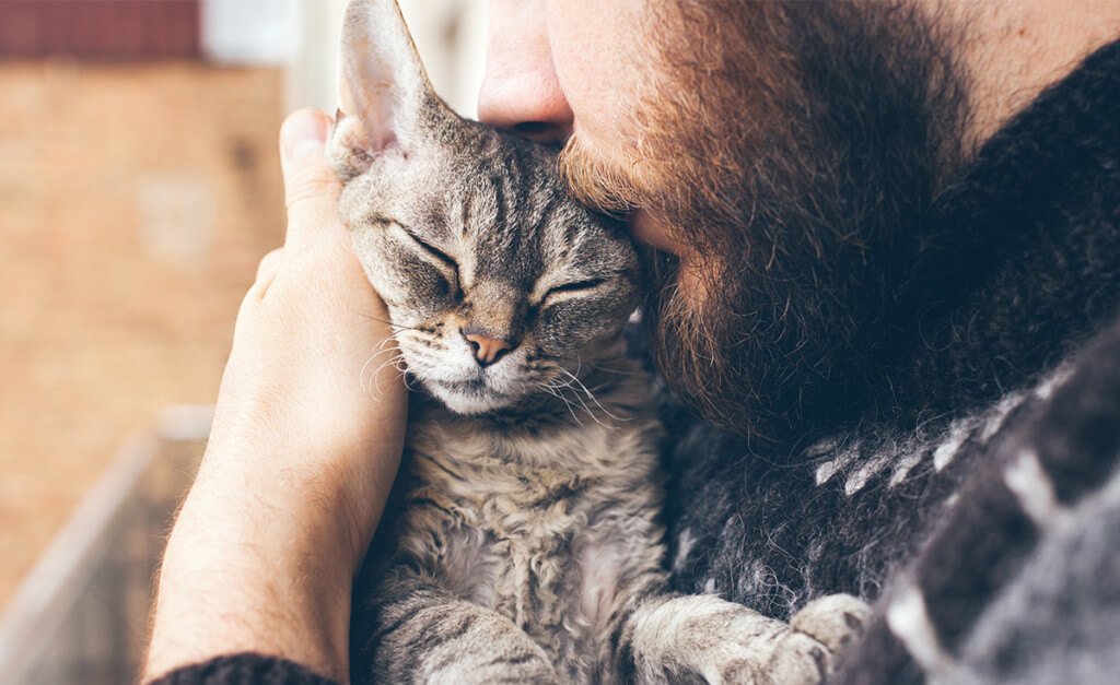 Why Do Cats Purr? - Earthborn Holistic Pet Food