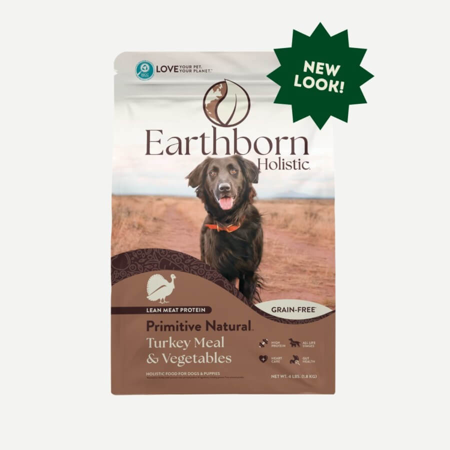6 Enrichment Toys for Dogs  Earthborn Holistic Pet Food