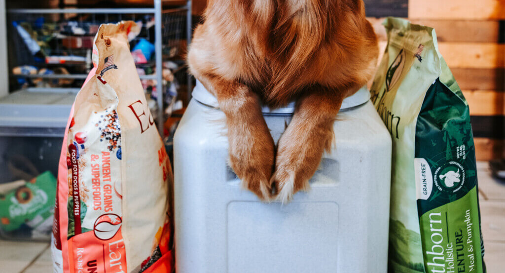 Dog food bag storage best sale