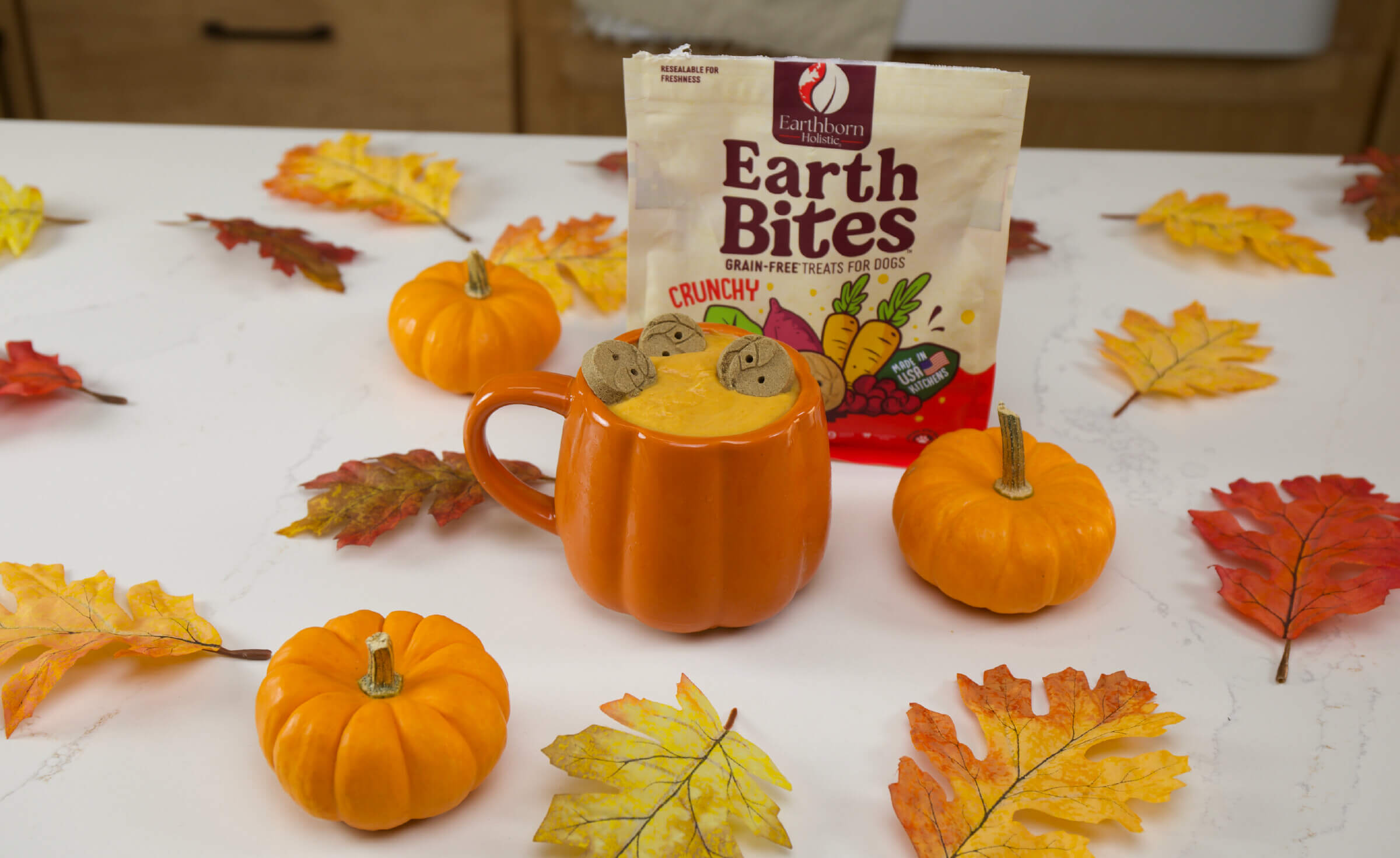 Delightful Dog Pumpkin Ice Cream A Treat for Your Furry Friend Earthborn Holistic Pet Food